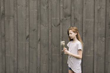 Mädchen hält Löwenzahnpflanze an der Wand - ANF00050