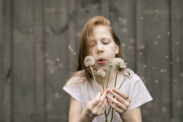 Cute girl blowing dandelions by wall - ANF00052