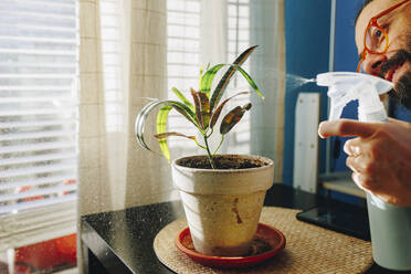 Happy man spraying water on potted plant at home - MRRF01939