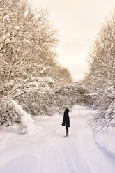 Female hiker standing in middle of snow covered forest road - KNTF06606