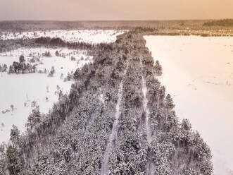 Luftaufnahme eines schneebedeckten Waldes - KNTF06612