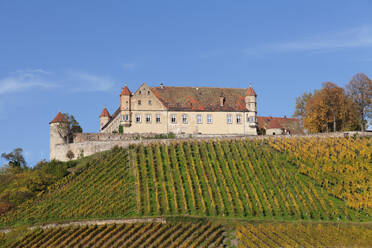 Schloss Stettenfels im Herbst, Untergruppenbach, bei Heilbronn, Baden-Württemberg, Deutschland, Europa - RHPLF21708
