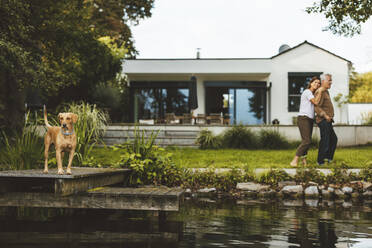 Hund steht auf einem Steg am See im Hinterhof - GUSF06951