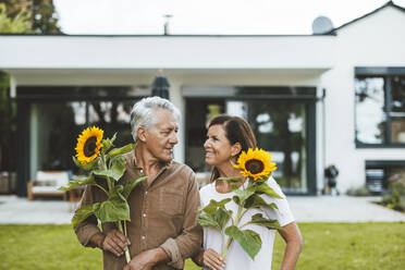 Glückliches Paar mit Sonnenblumen, das sich im Garten ansieht - GUSF06959