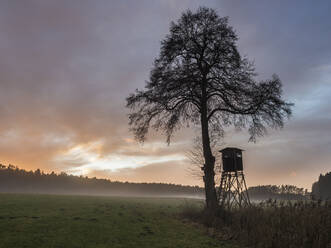 Silhouette of hunting tower standing under single tree at foggy dusk - HUSF00261