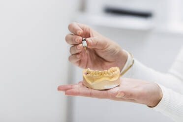 Dentist's hand holding dentures at clinic - PNAF03059