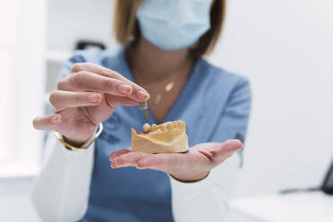 Dentist holding dentures in medical clinic - PNAF03085