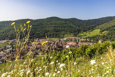 Frankreich, Elsass, Riquewihr, Ländliches Dorf im Sommer mit Weinberg und blühenden Wildblumen im Vordergrund - WDF06803