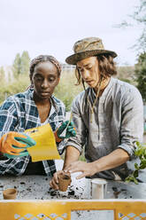 Junge Umweltschützerin betrachtet ein Paket, das neben einem Mann auf einem Bauernhof steht - MASF28512