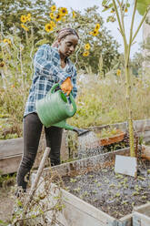 Young female volunteer watering plants in urban farm - MASF28536