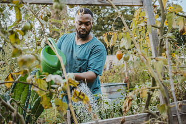 Männlicher Umweltschützer bewässert Pflanzen im Gemeinschaftsgarten - MASF28537