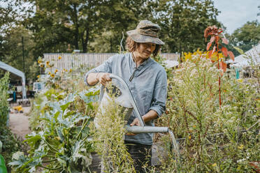 Mann mit Hut bewässert Pflanzen im städtischen Garten - MASF28539