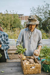 Junger männlicher Umweltschützer verkauft Gemüse auf dem Bauernmarkt - MASF28555