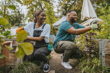 Glückliche männliche und weibliche Freiwillige pflanzen Blumen während einer landwirtschaftlichen Schulung im Garten - MASF28578