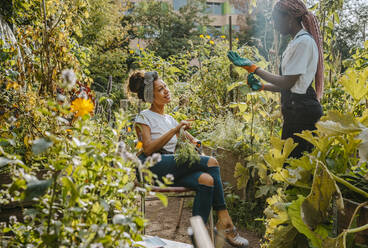 Bäuerinnen unterhalten sich bei der Arbeit im Gemeinschaftsgarten - MASF28586