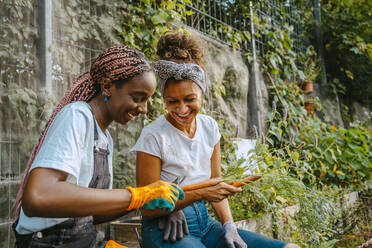 Happy female environmentalist peeling carrot while sitting by woman in farm - MASF28591