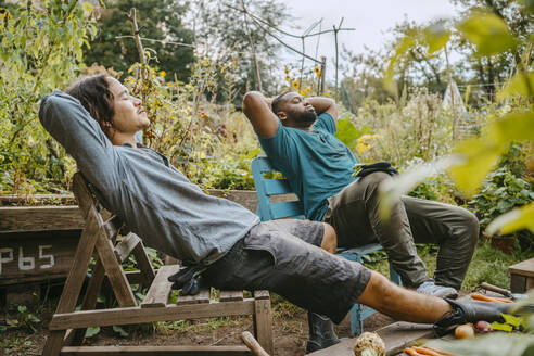 Male farmers resting on wooden chair in urban garden - MASF28593