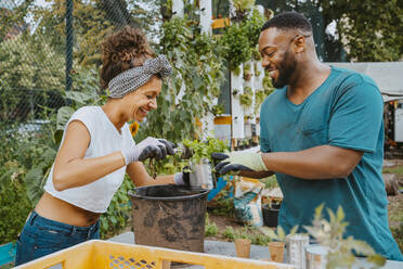 Happy male and female environmentalists planting flower in pot at urban farm - MASF28620