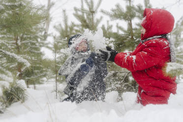 Verspielte Zwillingsbrüder spielen mit Schnee im Wald - SEAF00529