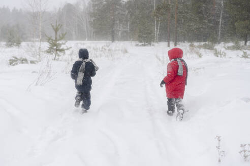 Verspielte Zwillingsbrüder laufen im Schneewald - SEAF00530