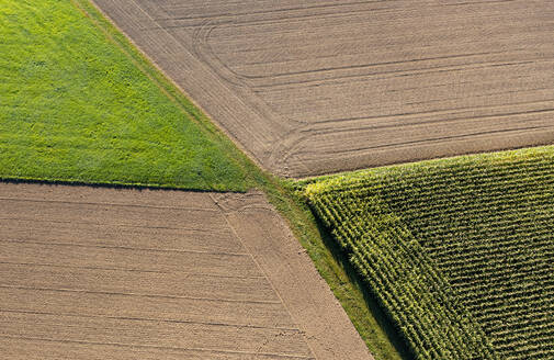 Drone view of corn field and harvested fields - WWF06126