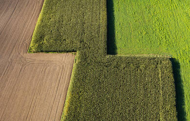 Drone view of corn field and harvested field - WWF06127