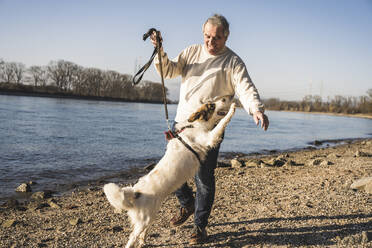 Verspielter Mann mit Hund am Strand an einem sonnigen Tag - UUF25590