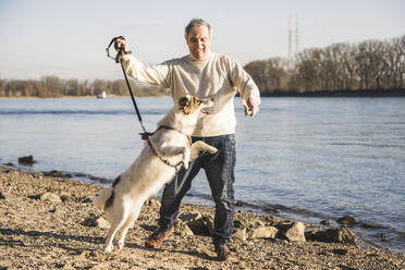 Glücklicher älterer Mann spielt mit Hund am Strand an einem sonnigen Tag - UUF25597