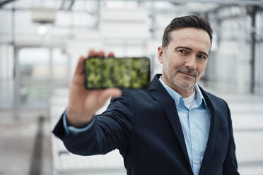 Businessman showing mobile phone device screen in greenhouse - MOEF04007
