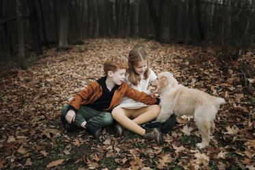 Playful siblings with golden retriever puppy on autumn leaves in forest - ELEF00043