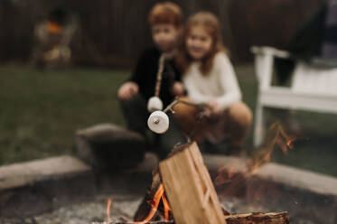 Siblings roasting marshmallows at campfire - ELEF00054