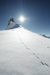 Hare tracks along snowcapped peak in Rofan Mountains - WFF00672