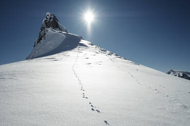 Hare tracks along snowcapped peak in Rofan Mountains - WFF00673