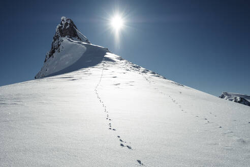 Hasenspuren entlang schneebedeckter Gipfel im Rofangebirge - WFF00673