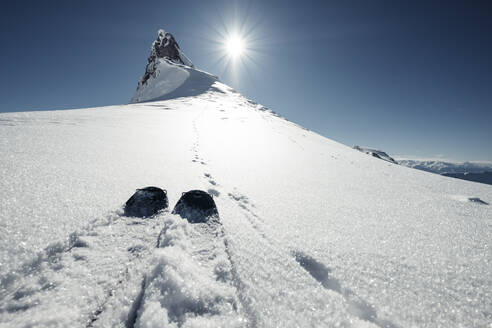 Skier neben Hasenspuren auf einem schneebedeckten Gipfel im Rofangebirge - WFF00674