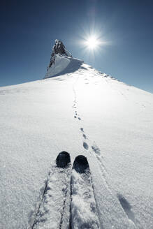 Skier neben Hasenspuren auf einem schneebedeckten Gipfel im Rofangebirge - WFF00675