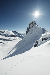 Sonnenschein über Tierspuren im schneebedeckten Rofangebirge - WFF00677