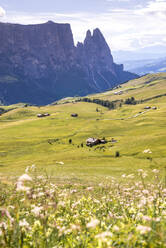 Italien, Südtirol, Abgelegene Hütte auf der Seiser Alm mit blühenden Wildblumen im Vordergrund - EGBF00758
