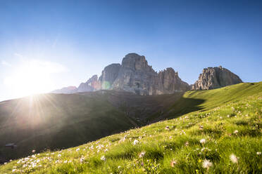Italien, Südtirol, Almwiese im Sommer bei Sonnenuntergang mit Langkofel und Plattkofel im Hintergrund - EGBF00774