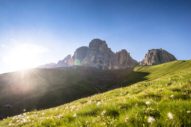 Italy, South Tyrol, Alpine meadow at summer sunset with Langkofel and Plattkofel mountains in background - EGBF00774