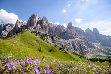 Italien, Südtirol, Blick auf die Sellagruppe am Grödnerjoch im Sommer - EGBF00777