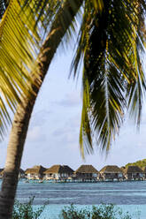 Wasserbungalows über dem Meer auf der Insel Huraa, Malediven - KNTF06702