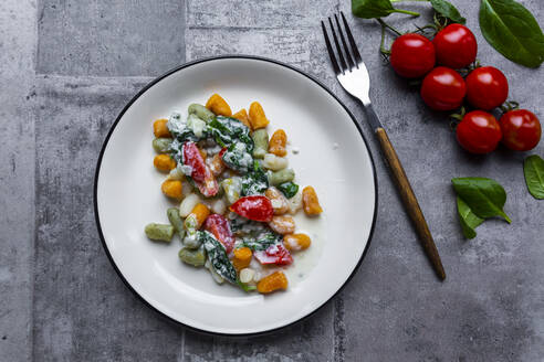 Studioaufnahme eines Tellers mit Gnocchi mit Gorgonzolakäse, Spinat und Tomaten - SARF04678