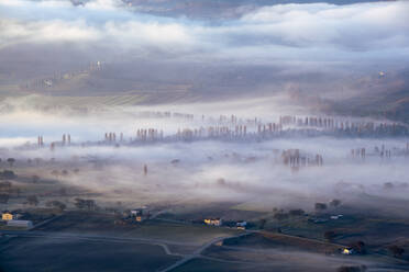 Italien, Umbrien, Gubbio, Felder auf dem Lande in dichtem Morgennebel gehüllt - LOMF01333