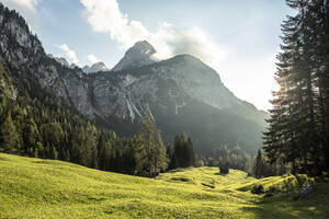 Sommerwiese mit Mieminger-Kette bei Sonnenuntergang mit einsamer Hütte im Hintergrund - WFF00701