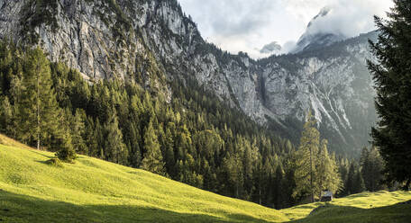 Sommerwiese mit Mieminger-Kette bei Sonnenuntergang mit einsamer Hütte im Hintergrund - WFF00705