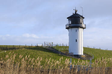 Germany, Lower Saxony, Cuxhaven, Dicke Berta lighthouse with reeds in foreground - WIF04487