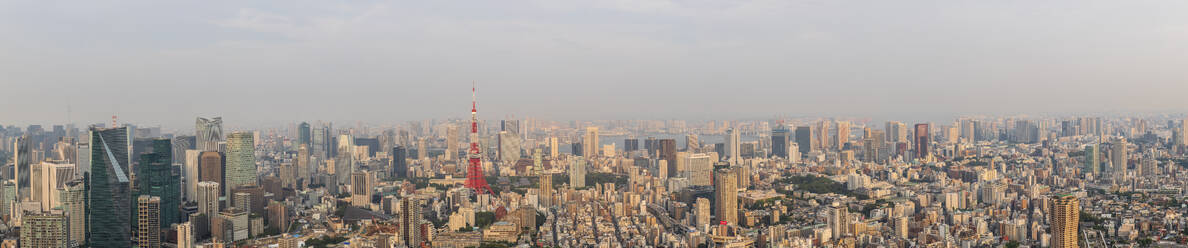 Japan, Region Kanto, Tokio, Panorama der Innenstadt in der Abenddämmerung - FOF12875