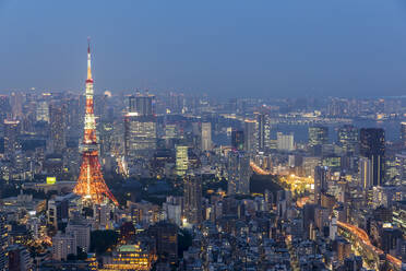 Japan, Kanto-Region, Tokio, Stadtzentrum in der Abenddämmerung mit Tokio-Turm im Vordergrund - FOF12877