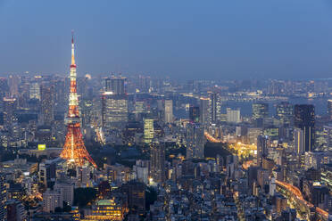 Japan, Kanto Region, Tokyo, City downtown at dusk with Tokyo Tower in foreground - FOF12877